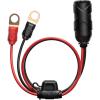 12V Eyelet Terminal (Pack of 6)